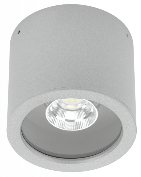 Surface mounted ceiling spotlight Silver Product image Article 692319
