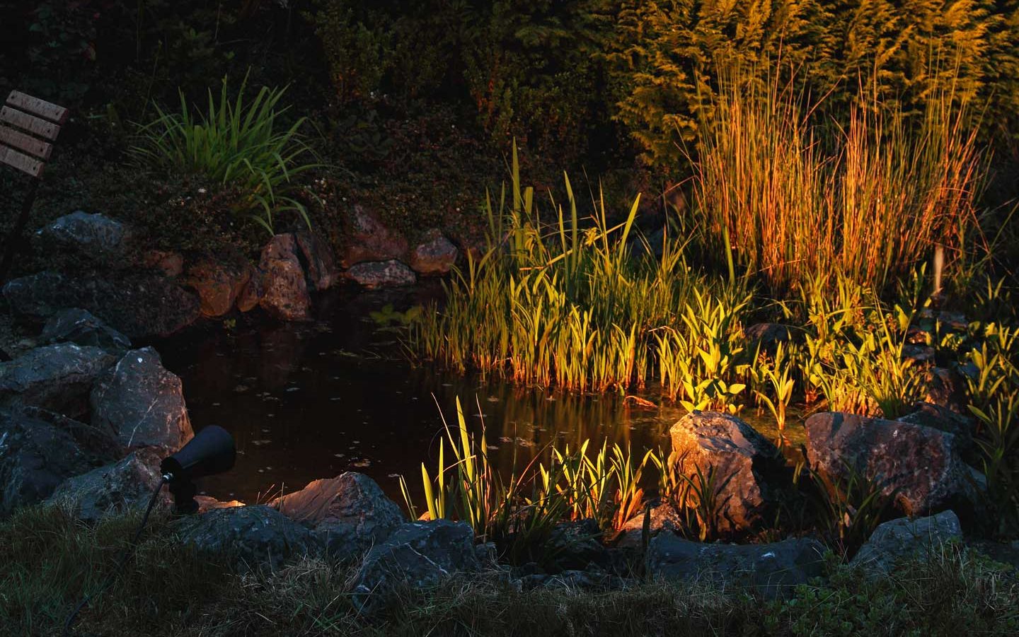 An atmospherically illuminated garden pond in the twilight.