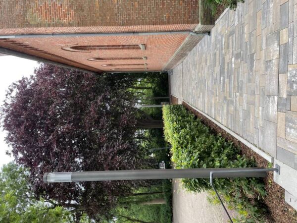 Light column 360 degrees symmetrical Milieu picture Article 620897, 660897