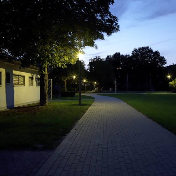 Pole light Milieu picture Article 620877, 660877